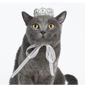 NIB Never used Lovelyshop Pet Tiara Rhinestones/ribbon to tie on Pet read boxes